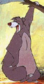 Avatar du membre