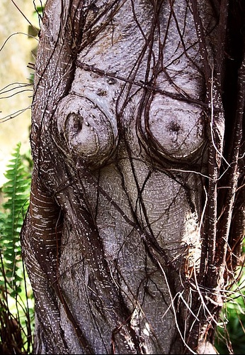 19775_nature-photo-insolite-1826264378.jpg