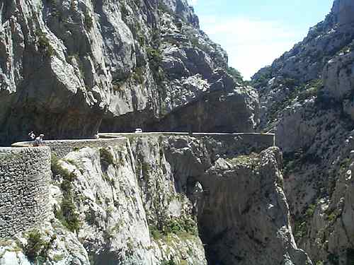 galamus.jpg