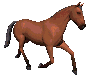040901011106_70.gif
