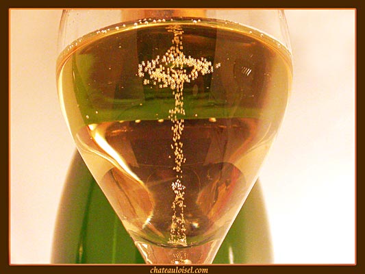 bulles3-100.jpg