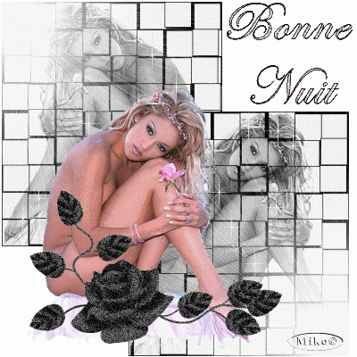 bonne nuit..gif
