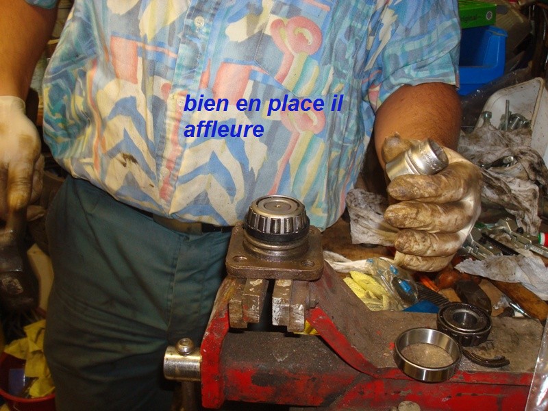 DSC00731.JPG