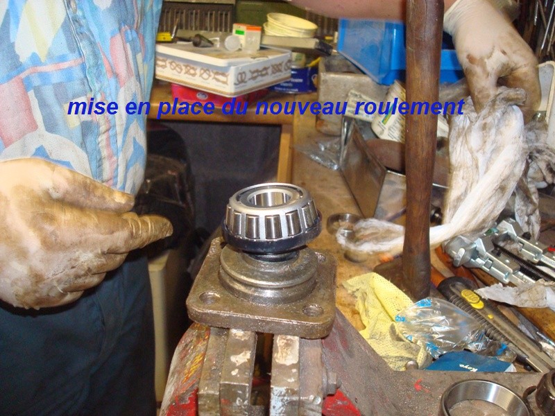 DSC00727.JPG