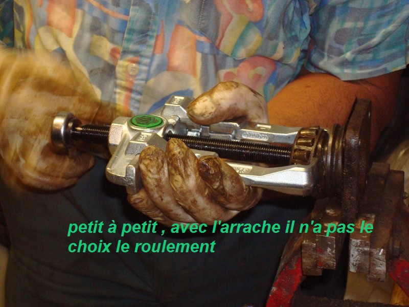 DSC00725.JPG