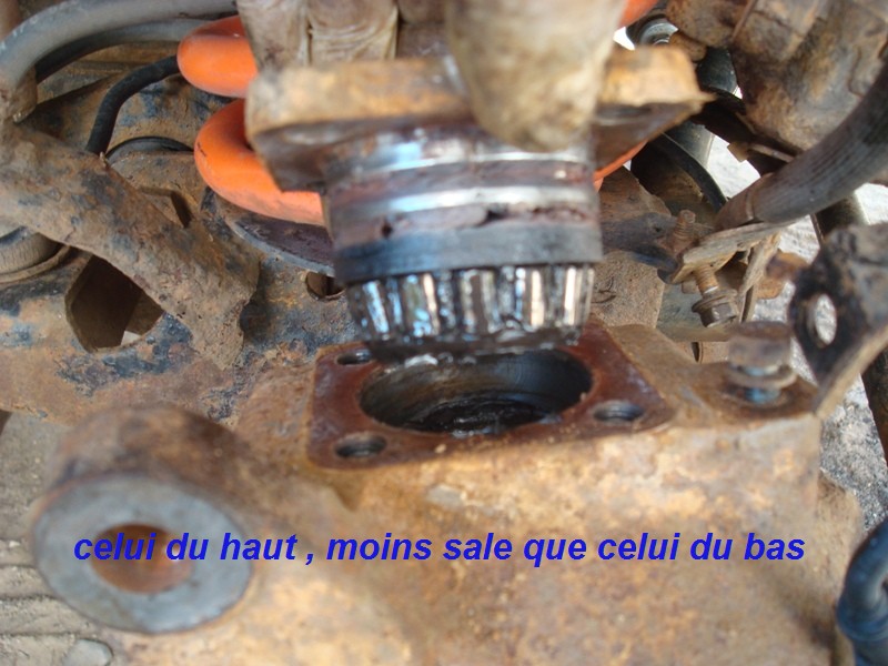 DSC00697.JPG