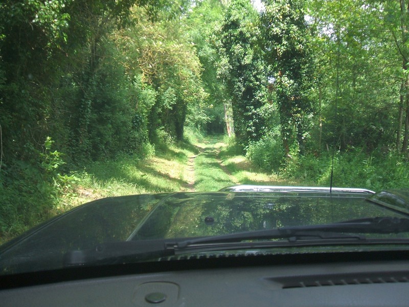 DSCF1200.JPG