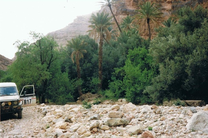 01710.jpg