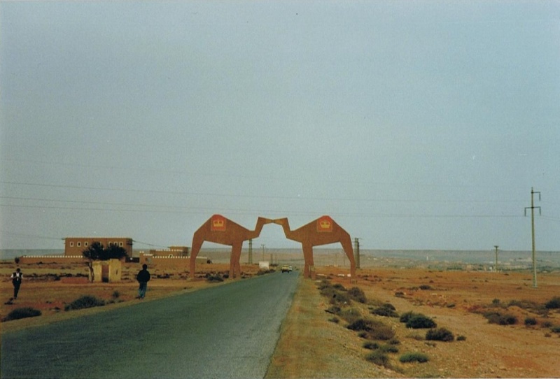 00411.jpg