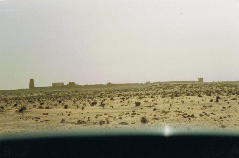 00511.jpg