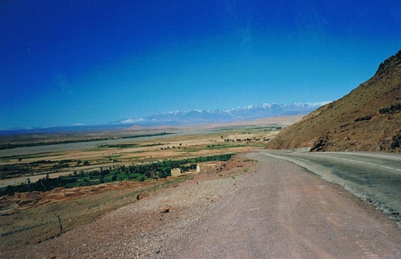 01911.jpg