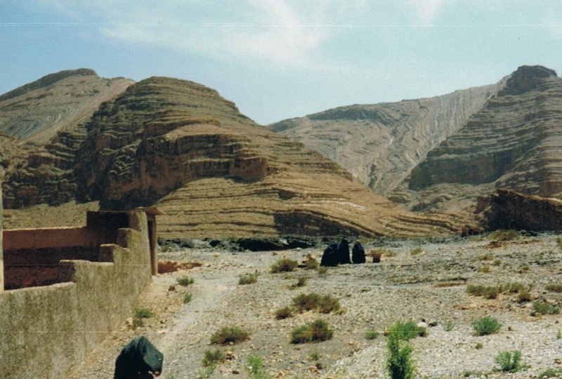 02910.jpg