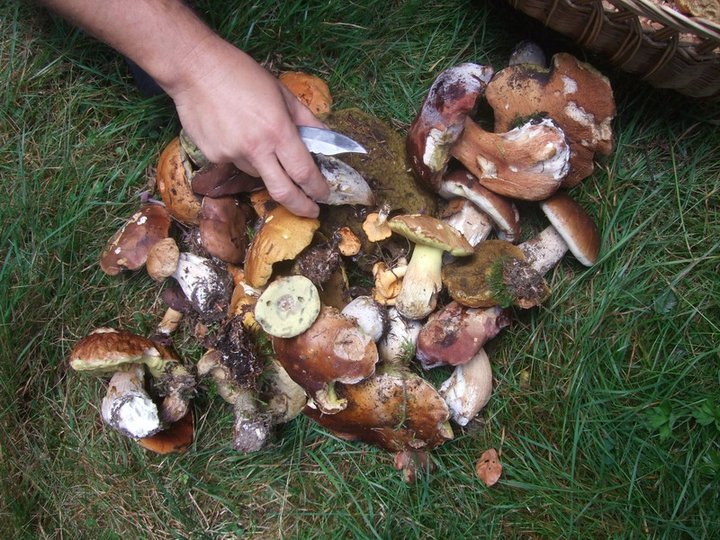 Miam miam ..........