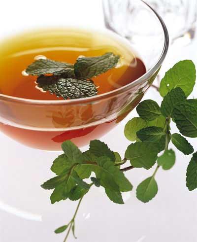 tisane[1].jpg