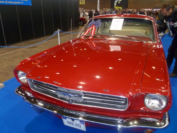 MUSTANG.jpg