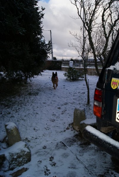 premiére neige 008.jpg