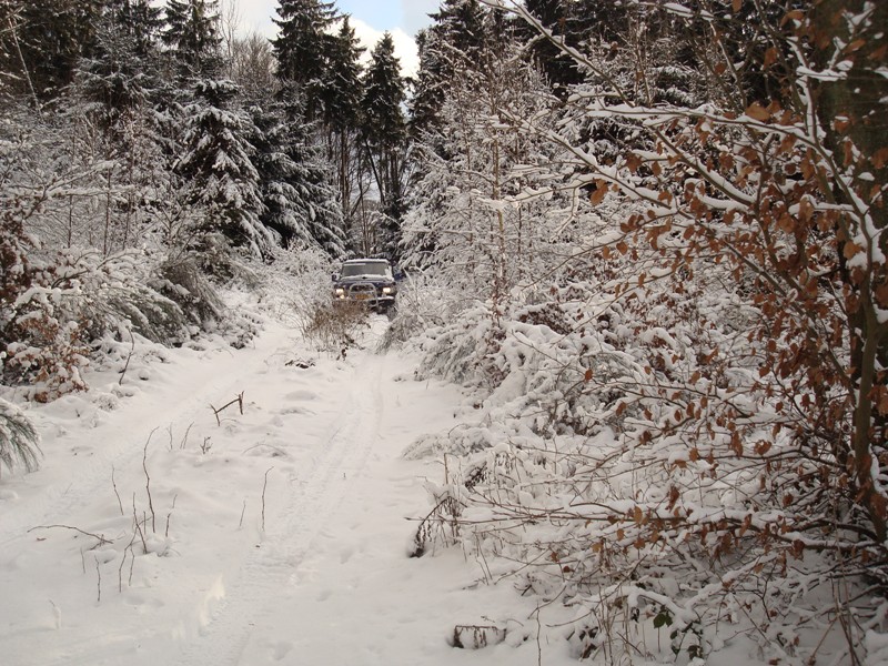 DSC08725.JPG