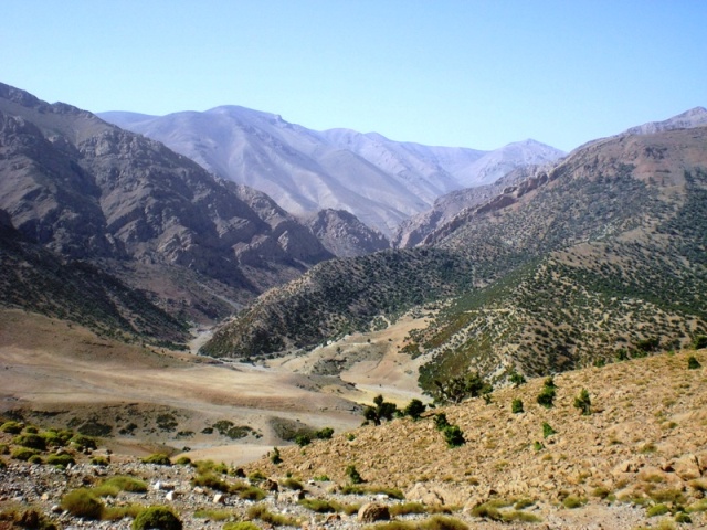CIMG1087.JPG
