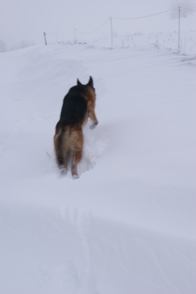 Champagnat neige 02 12 007.jpg
