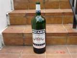 ricard 2.jpeg
