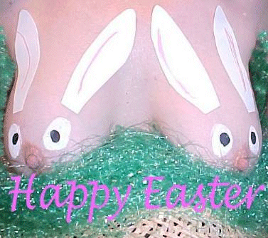 seins-lapin.gif