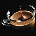 café.jpg