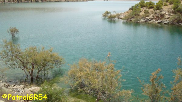 Dsc06498.jpg