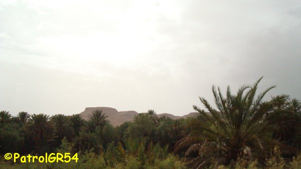 Dsc06550.jpg