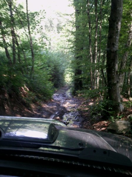 Imag0064.jpg