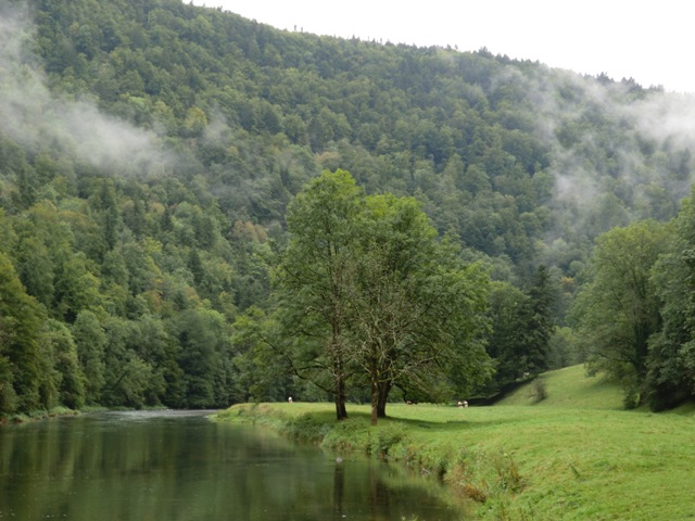 02.JPG