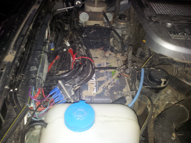 20120910_185951[1].jpg