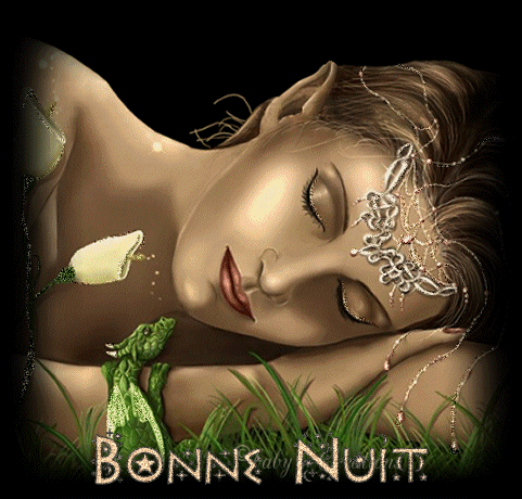 bonne nuit.gif