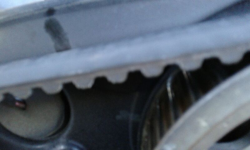 20150616_185043.jpeg