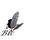 bienvenue (18).gif