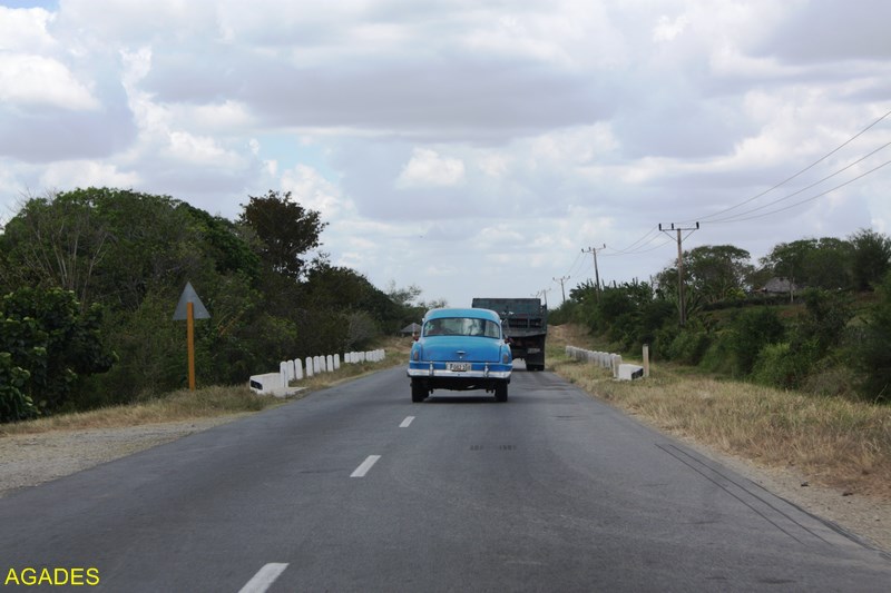 IMG_6033 - Copie (Copier).JPG