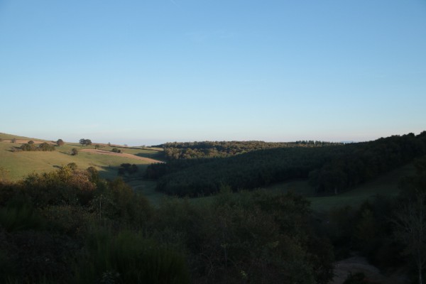 IMGL0529.JPG