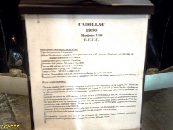 SAM_1665 (Copier).JPG