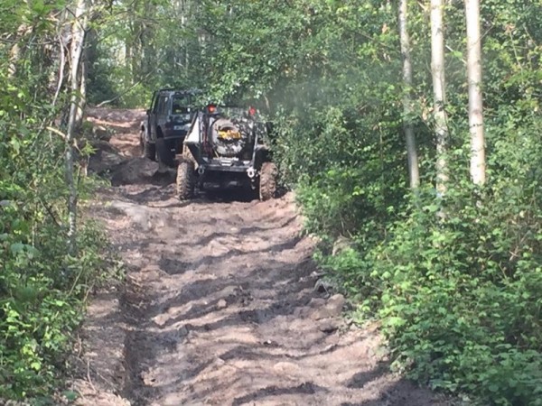 39.jpg