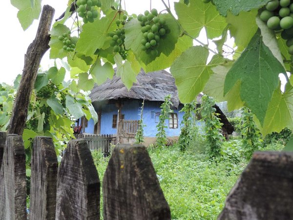 Casa mamei, Corbi de piatra 2 web.jpg