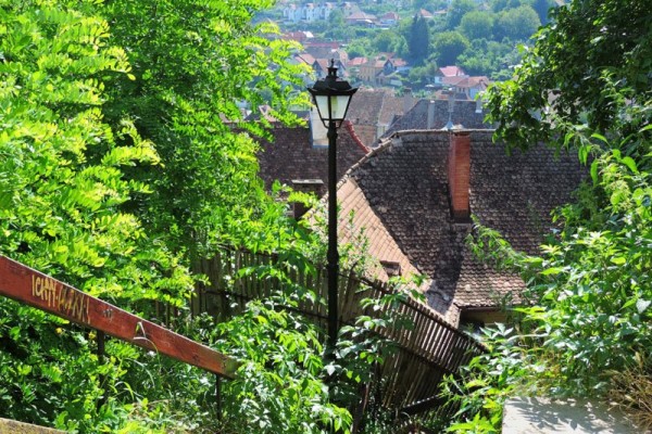 17e jour Sighisoara 2.jpg