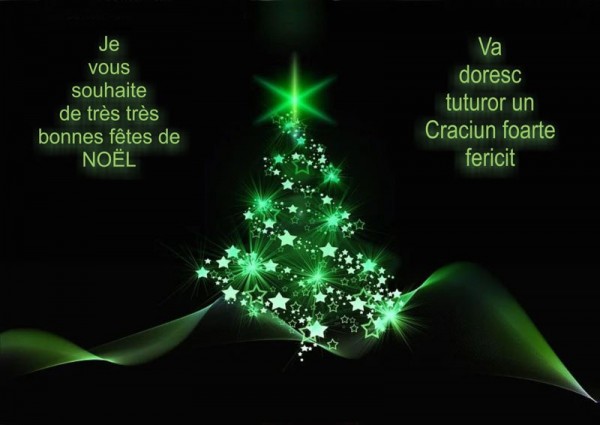 Voeux Noel b.jpg