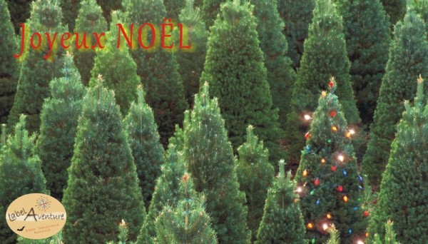 Noël 2021 for.jpg
