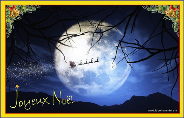 Voeux Noël 2023 for.jpg