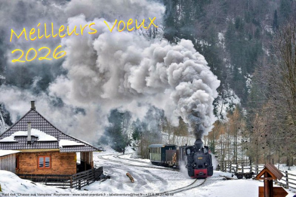 Voeux Nouvel An 2026 for.jpg