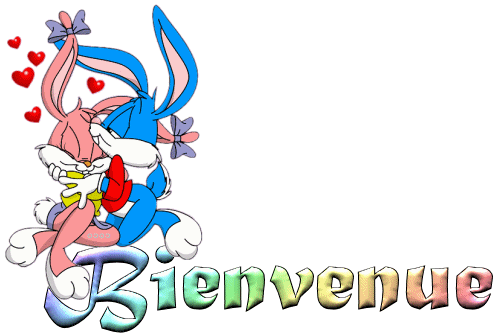 bienvenue.gif
