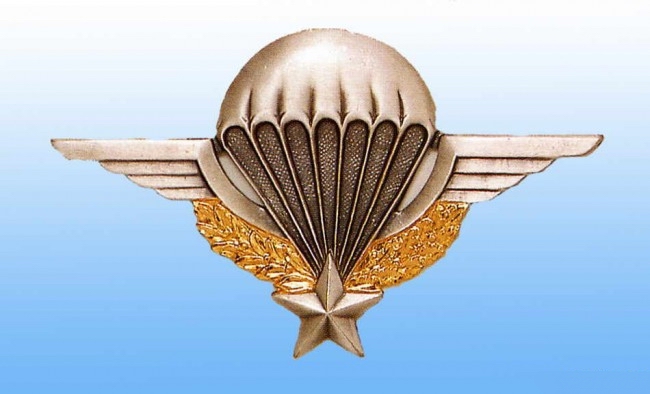 Brevet_ Parachutiste.jpg