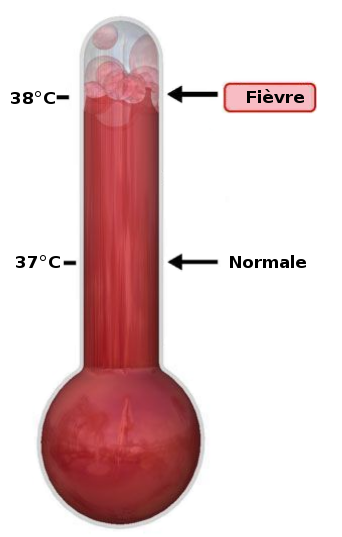 342px-Thermometre_fievre.svg[1].png