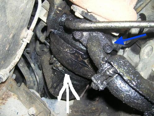 durite turbo.jpg