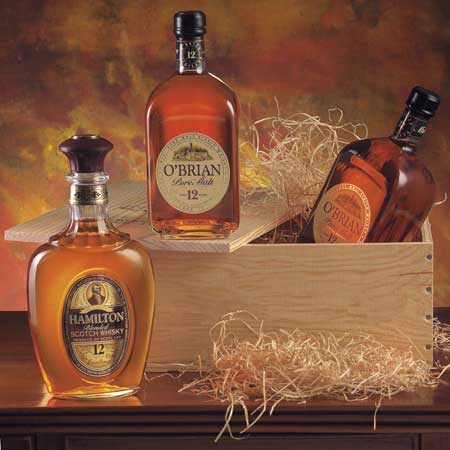 Obrian_Hamilton_450.jpg