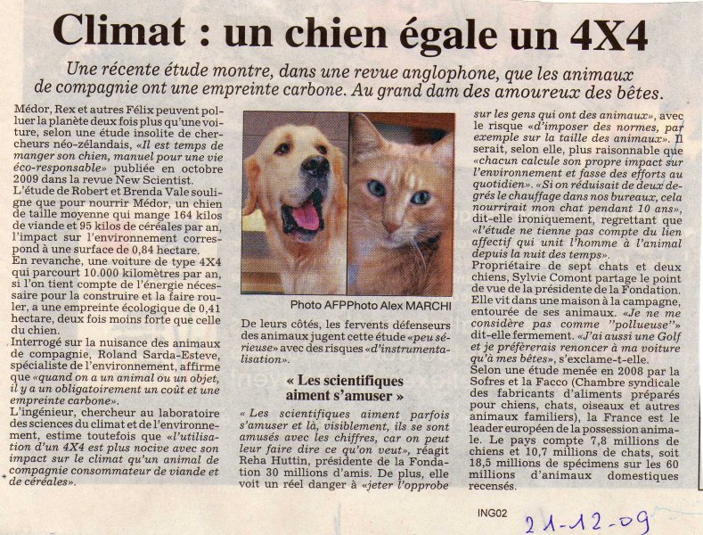 4x4chien012.jpg